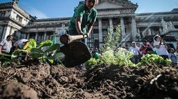 Productores reclaman una política de acceso a la tierra