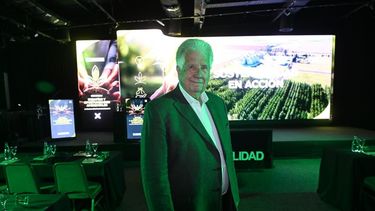 La opinión de un experto.