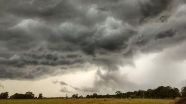 Subrayan que el último temporal no provocó grandes pérdidas en la cosecha