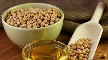 Familia santafesina creó una fábrica de biodiésel para consumo propio