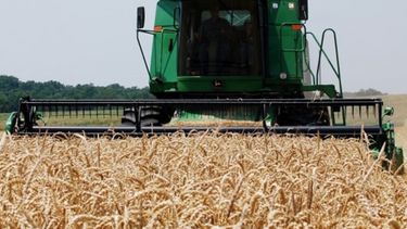 La producción agrícola perdió un 20% por cuestiones climáticas
