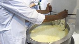 Ecosuero: una opción sustentable para aplicar a la industria láctea