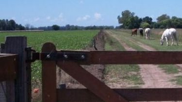 La actividad inmobiliaria rural continúa paralizada