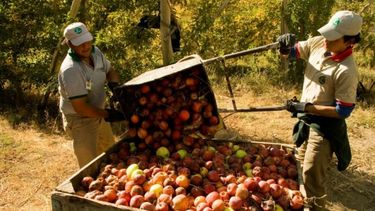 Incorporan nuevos productos de economías regionales al dólar agro