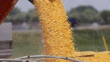 Ruralistas pueden evitar malas noticias en la entrega de granos