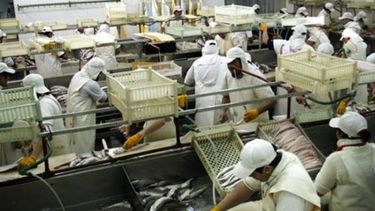 Declaran inconstitucionales retenciones impuestas sobre una empresa pesquera