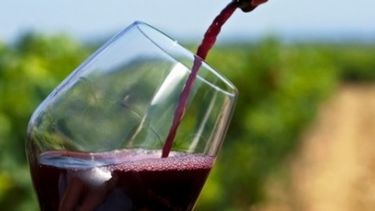 El consumo de vino se redujo más de 6% en 2018