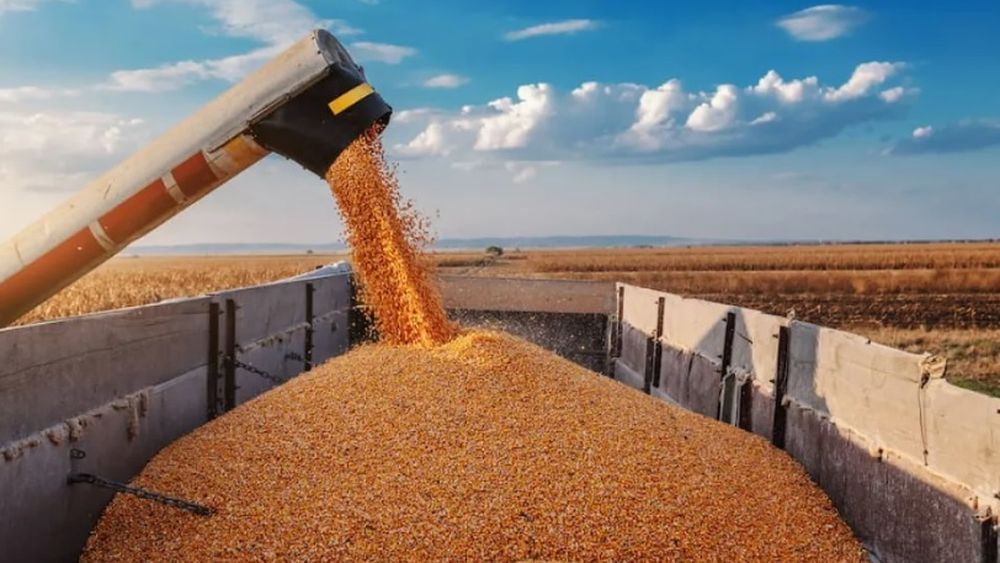 La potencia exportadora del campo argentino.