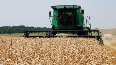 Se acerca el final de la cosecha de trigo con rindes dispares