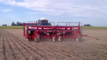 La siembra de soja registra un avance en el centro del país