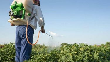 Está en estudio revisión de la norma de fitosanitarios