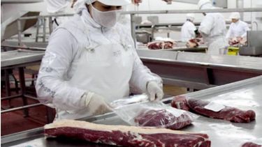Las ventas de carne a EE.UU. tuvieron un alza exponencial en lo que va del año