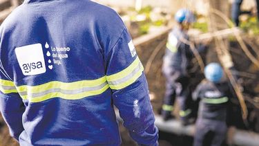 El modelo de negocios de la firma privada.