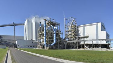 Las expectivas dentro de la agroindustria argentina.