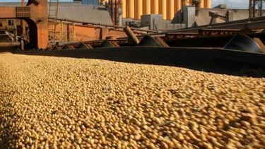 Exportadoras agrícolas podrán declarar ventas de soja a futuro