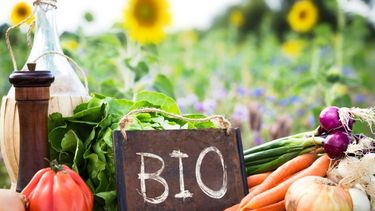 Programa Biodesarrollar.