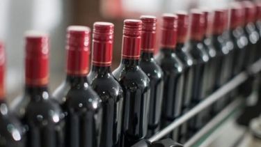 Diseñan programa para impulsar las exportaciones de vinos