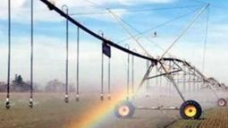 Se puede duplicar el rendimiento en trigo mediante riego suplementario