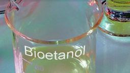 Autorizan aumentos de hasta 9% en los precios del bioetanol