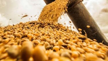 Permiten a productores de soja bajarse de las compensaciones