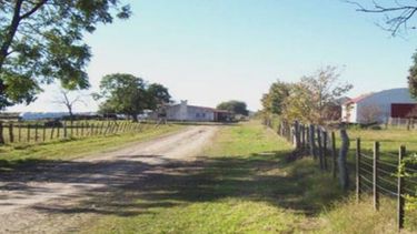 Detectan progresos en la actividad inmobiliaria rural