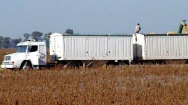 Suben la tarifa de referencia nacional para el transporte de granos