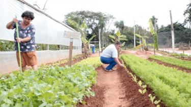 Apuntan a mejorar la infraestructura de pequeños productores bonaerenses