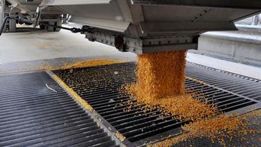 China dio el visto bueno a importaciones de maíz brasileño