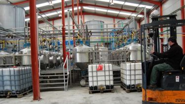 La producción de biodiesel alcanzó su menor nivel en una década