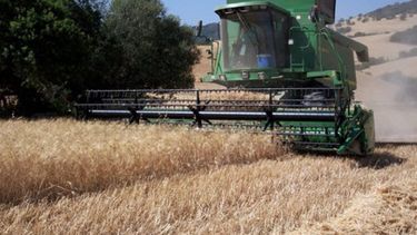 Otra afrenta del Gobierno al campo: "Quieren poner funcionarios como durante el Proceso"