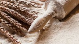 Actualizaron los precios de referencia de la harina de FETA