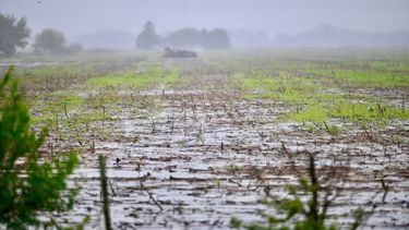 Las lluvias de febrero sobre los suelos de la región núcleo.