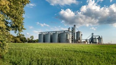 IICA buscará impulsar la bioeconomía en Argentina