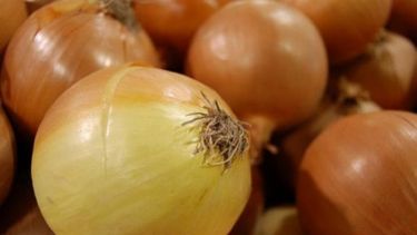 Piden que no comprar cebolla hasta que baje el precio
