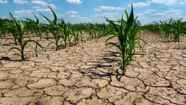 Simplifican el sistema para acceder a la asistencia agropecuaria