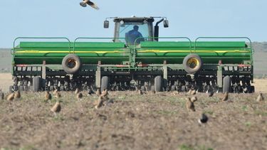 Calculan que la siembra de trigo subirá un 4% en áreas bonaerenses