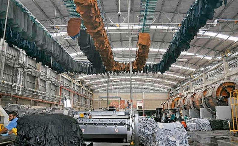 Eliminan las retenciones a las exportaciones de cuero