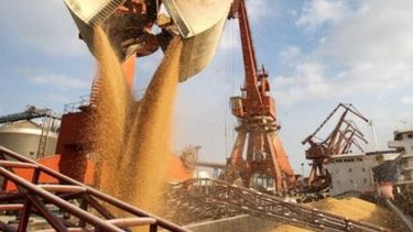 Exportaciones de granos de la campaña 2016-2017 superaron 60 millones de toneladas