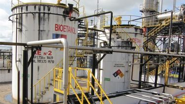 La regulación del mercado de los biocombustibles.