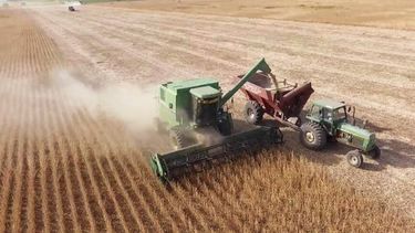 Mejora la calidad de la soja temprana en el centro y norte de Santa Fe