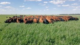 El campo argentino busca ponerse al día en cuestiones ambientales
