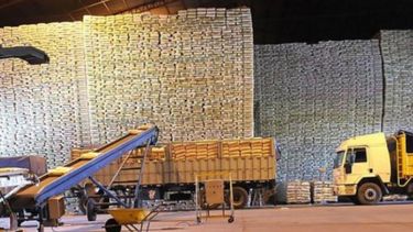 Establecen la distribución de la cuota exportadora de azúcar a EE.UU.