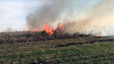Mitigación de las consecuencias.
