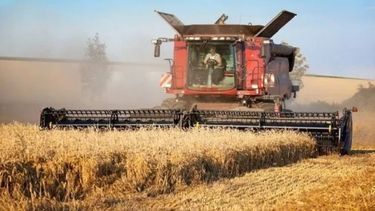 "La Provincia" buscará elevar el nivel de agroexportaciones locales
