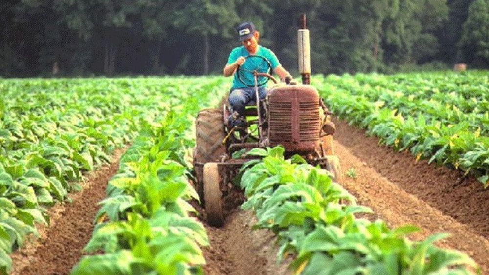 Las retenciones es uno de los temas principales para el campo argentino.
