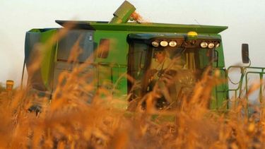 La cosecha de granos gruesos perdió ritmo durante la última semana