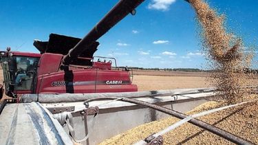 Pese a una leve caída semanal, la agroexportación sigue rindiendo sus frutos