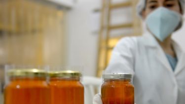 La miel argentina reingresa al mercado brasileño