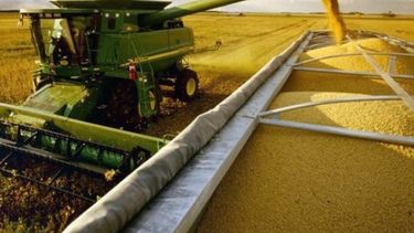 Se compraron 5.9 millones de toneladas de granos en 2019