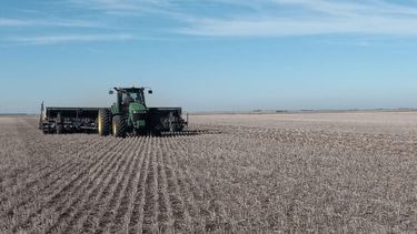 El impacto del clima en la siembra de trigo.&nbsp;